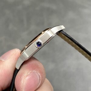 Đồng Hồ Cartier Santos-Dumont W2SA0012 Rep 11 Máy Pin 38mm (1)