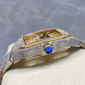 Đồng Hồ Cartier Santos Skeleton Demi Gold Nam Đính Đá Replica 11 (1)